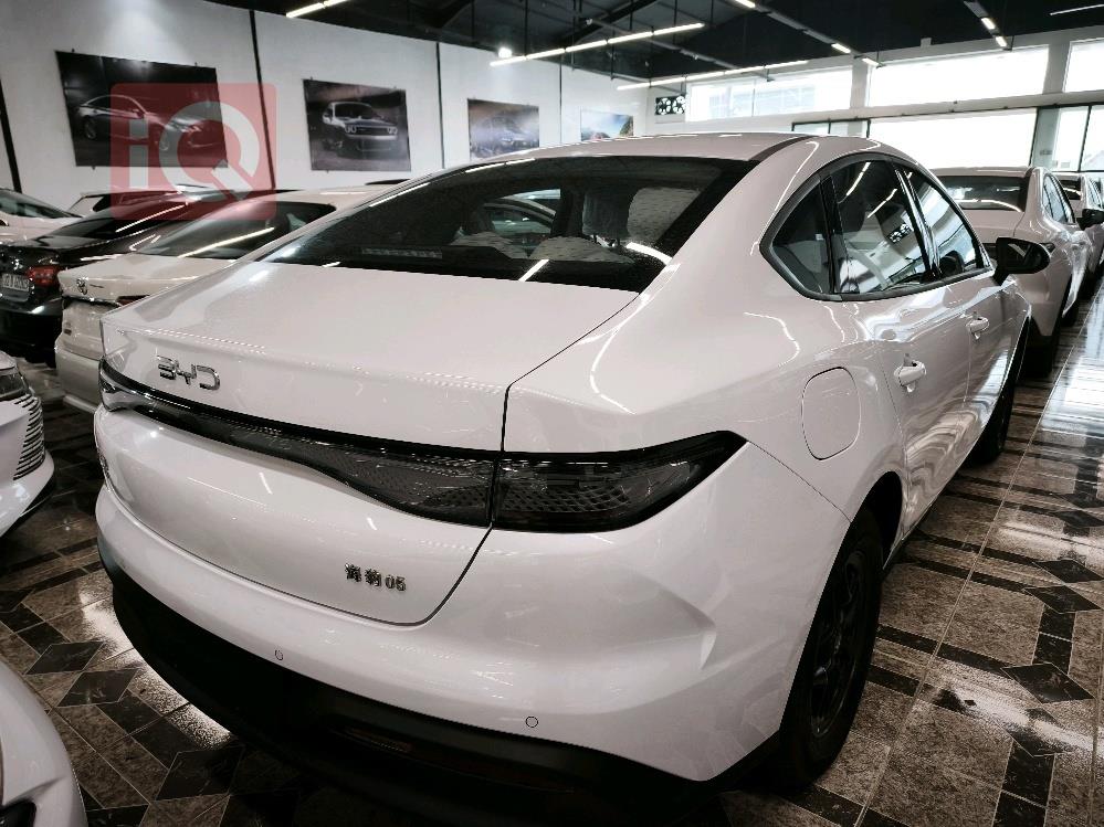 بي واي دي سيل 05 DM-i